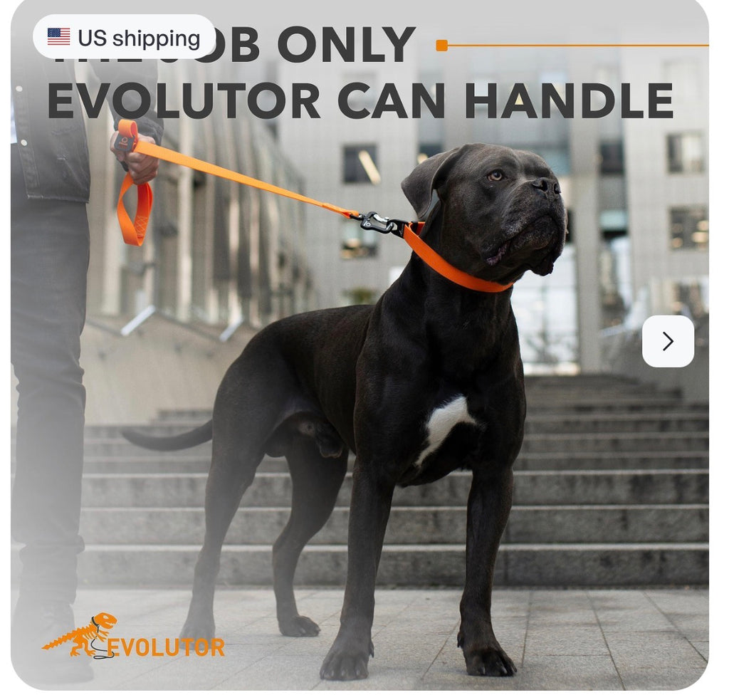 Orange Extra Heavy Duty Dog Leash 4 Ft x 1 in for Large Medium and Smal