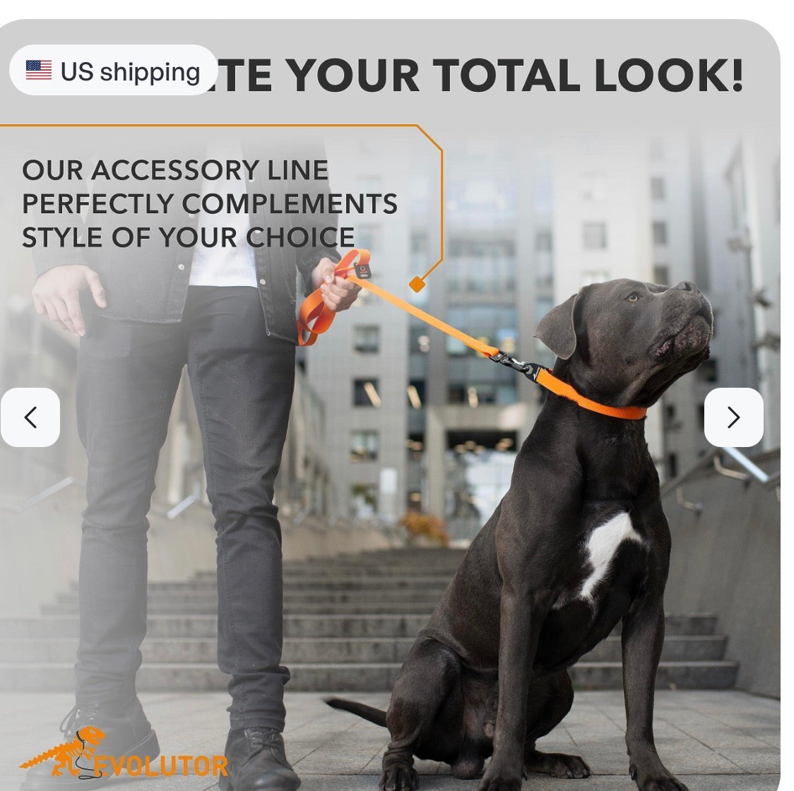 Orange Extra Heavy Duty Dog Leash 4 Ft x 1 in for Large Medium and Smal
