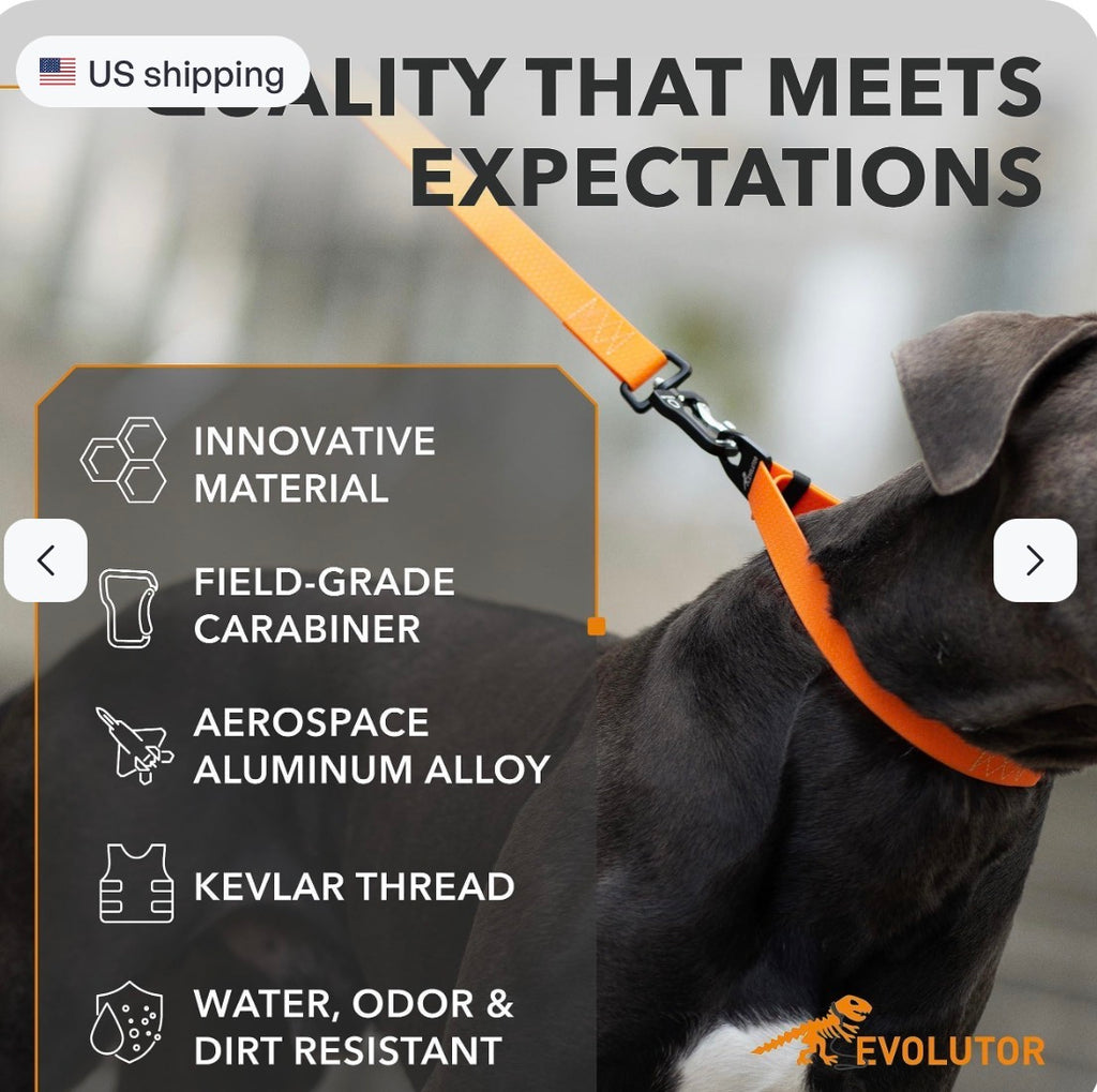 Orange Extra Heavy Duty Dog Leash 4 Ft x 1 in for Large Medium and Smal